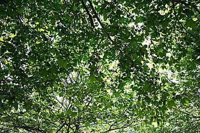 Xbox Game Pass 4月下旬新增游戏公开