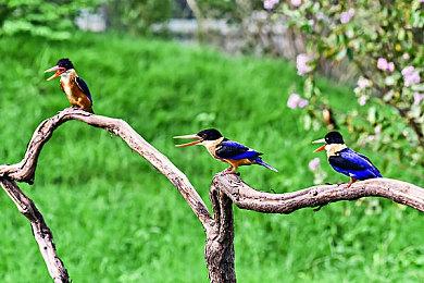 繁中版《超时空要塞：Shooting Insight》夏季发售 PS及Switch平台